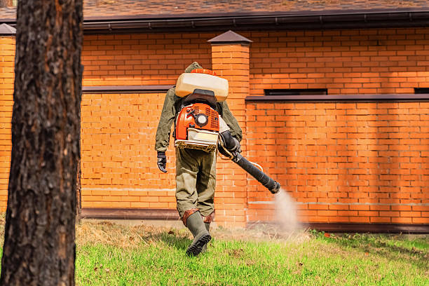 Bed Bug Clearance Verification and Documentation in Denair